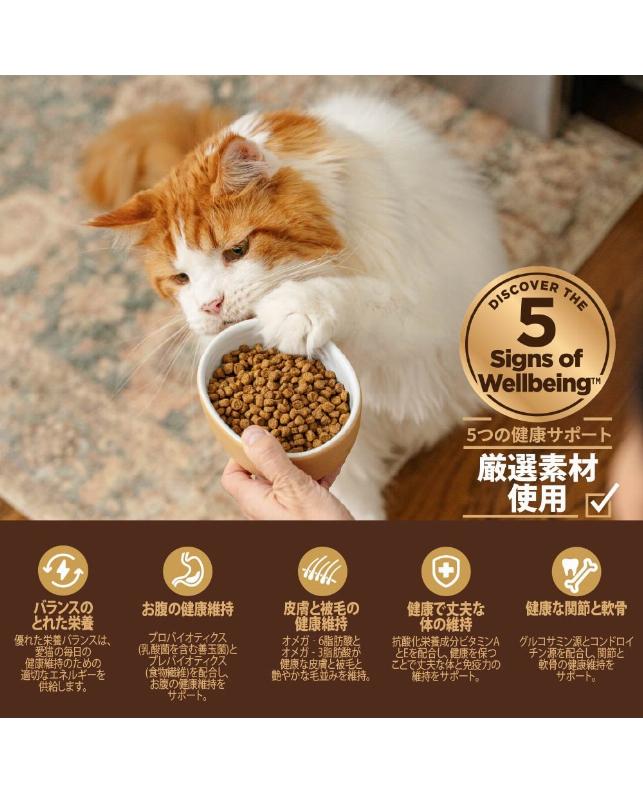 ☆《6/30-7/15》ウェルネスドライフード猫400g 2点同時購入で500