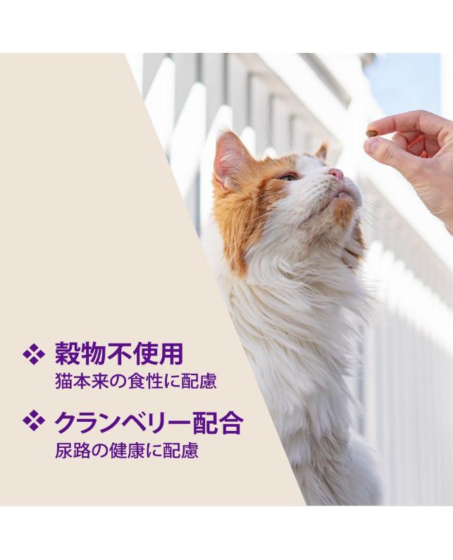 ウェルネス キトルズ チキンクランベリー入り 56g（0076344900344