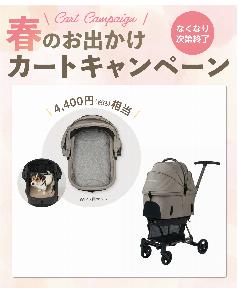 ★【3/11～5/11 ノベルティ付き】★AIRBUGGY WIZ X