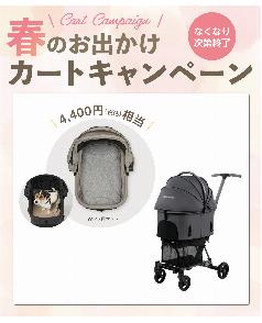 ★【3/11～5/11 ノベルティ付き】★AIRBUGGY WIZ X