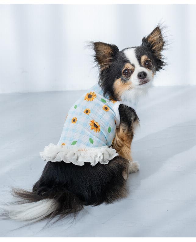 ★【EC限定 2/20～3/1まで10％相当ポイント還元】★【2026年新商品】CRUSH DOG ひまわり裾フリルタンク