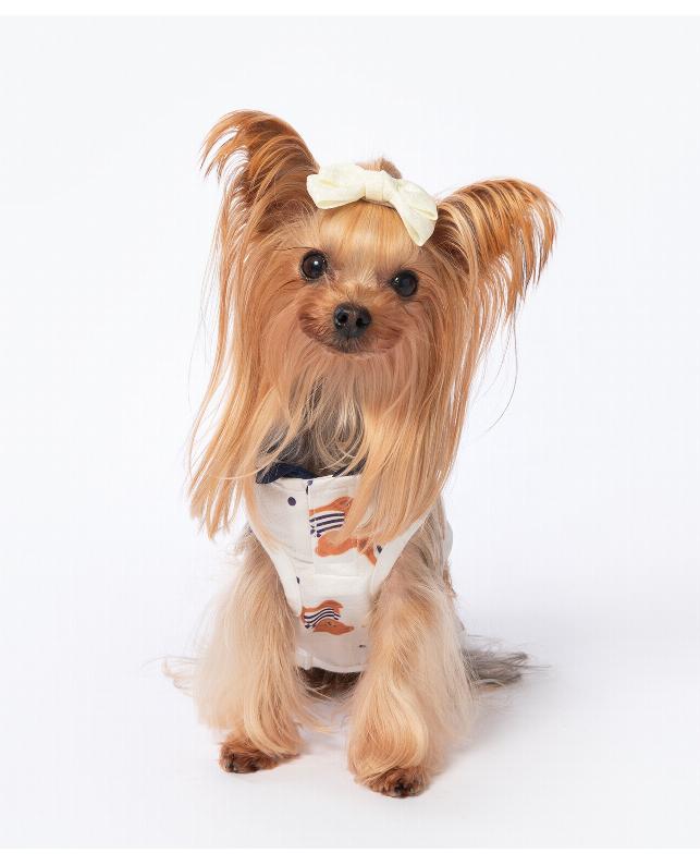 2026年新商品】くま耳セーラー（26SSRO1001）｜犬用品（犬用品