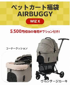 2027カート福袋 エアバギー wizX