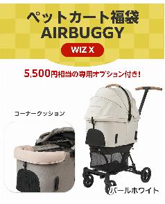 2027カート福袋 エアバギー wizX