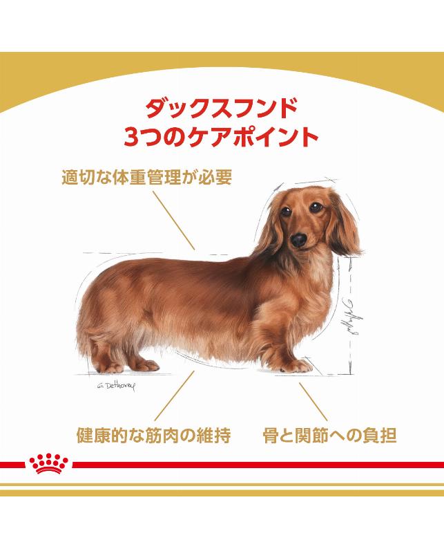 ☆【取り寄せ品】ロイヤルカナン ダックスフンド 成犬用 7.5kg 