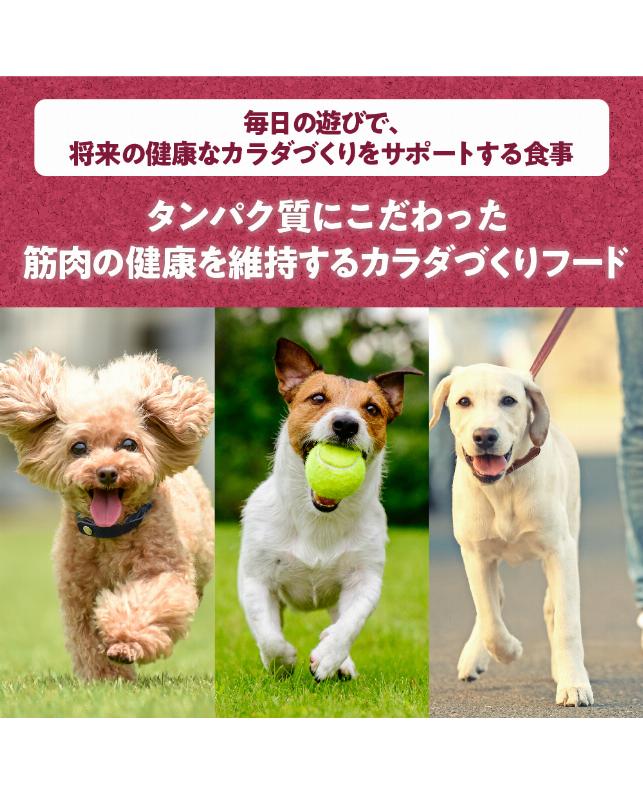 ユニ・チャーム Physicalife -フィジカライフ- 成犬用 チキン＆大豆