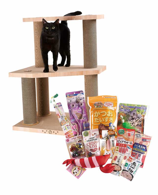 数量限定】ペテモオリジナル福袋 猫用 B(バリバリファニチャー