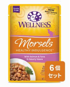 【セット品】ウェルネス ヘルシーインダルジェンス 香るとろみスープ仕立てサーモン&ツナ 85g×6袋