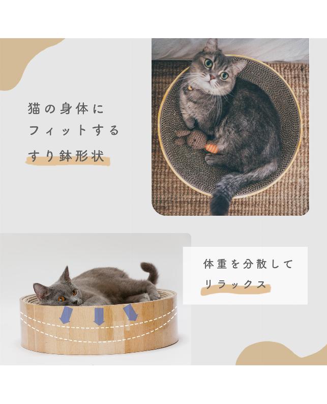 かわいい猫ちゃん画像館 on X: 