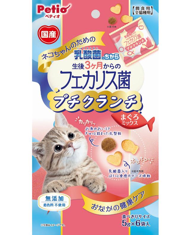 新発売】 JXK Studio 1/6 JXK064 ぽっちゃり猫 おでぶ猫 肥猫