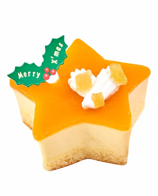 ☆ご予約は11/23まで!☆《ペテモ限定》 ペットライブラリー