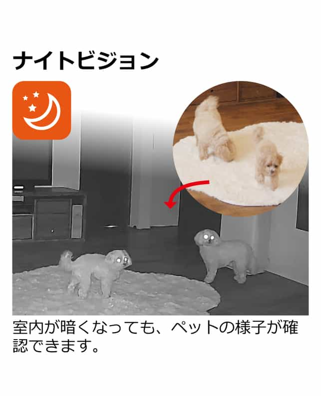 リッチェル 見守りカメラ LOOK（4945680561709）｜犬用品（犬用品