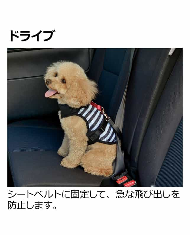 リッチェル おでかけベストハーネス S カモフラージュ（4945680561822）｜犬用品（犬用品）｜ペット総合通販サイト  ペテモオンラインストア「しあわせも、たいへんも、ずっと、いっしょに。」