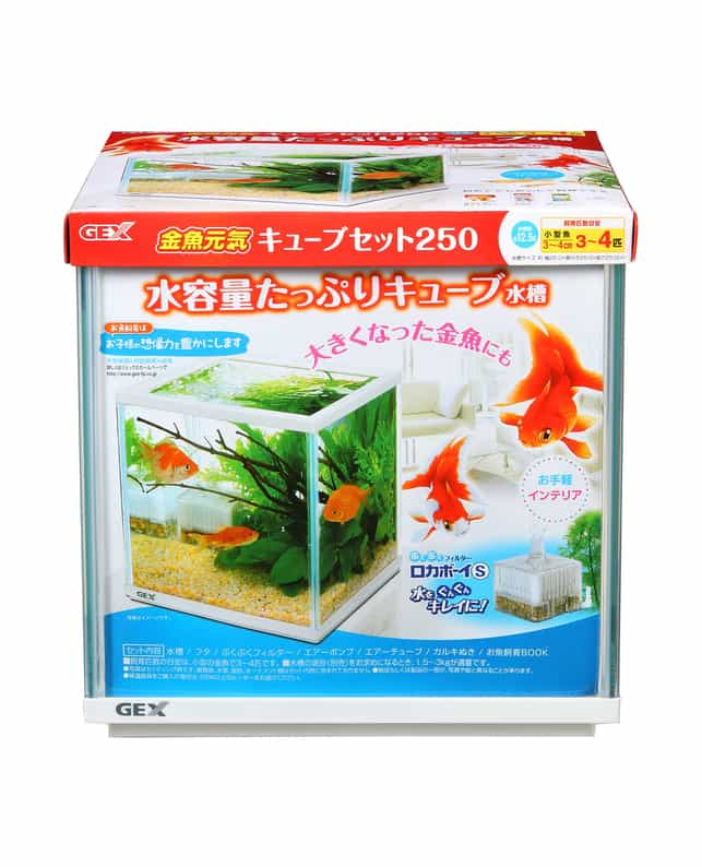 Gex 金魚元気キューブセット250 その他ペット用品 その他ペット用品 ペット総合通販サイト ペテモオンラインストア しあわせも たいへんも ずっと いっしょに