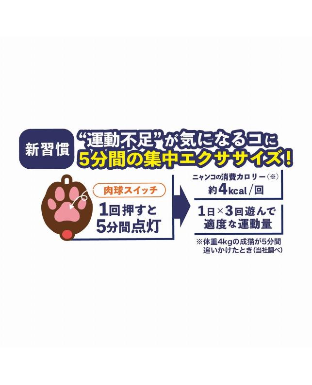 ドギーマンハヤシ じゃれ猫 首につけるLEDニャンだろ～？！光線