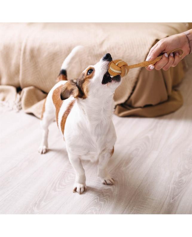 買*犬様 【新品】東京事変 娯楽 バラエティ 増刊号 初回生産限定アナログ盤 ドギーマンハヤシ 牛革麻ロープトイ ボーループ（4976555859096）｜犬