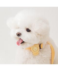 BITE ME ヘイトミーバンド レモン