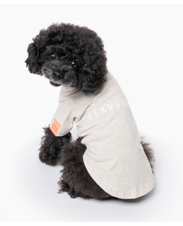 ビームス デザイン スタンダードシャツ [超小型犬・小型犬]