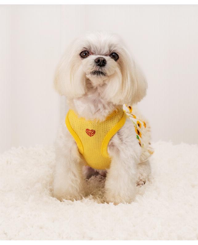 YUKA様プリーツシフォンワンピースハンドメイド犬服オーダー YUKA様プリーツシフォンワンピースハンドメイド犬服オーダー