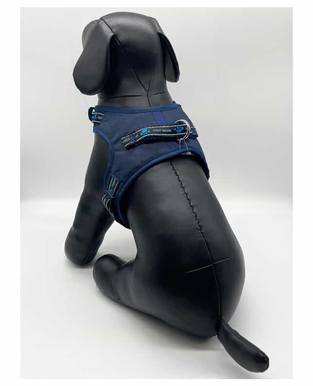Shop Dog Gears, Equipments and Accessories