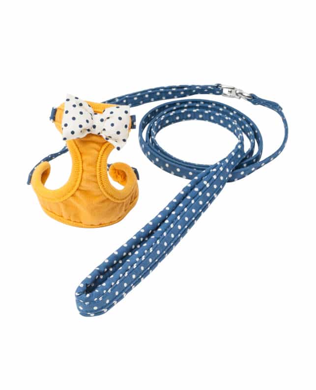 ツリー スエットハーネスリード ドット