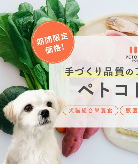 PETOKOTO FOODS 期間限定価格！