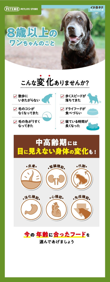 8歳以上のワンちゃんのこと こんな変化ありませんか？ 1.散歩に行きたがらない 2.毛のコシがなくなってきた 3.毛の色がうすくなってきた 4.歩くスピードが落ちてきた 5.ドライフードが食べづらい 6.寝ている時間が長くなった 中高齢期には目に見えない身体の変化も！ 皮膚・腎臓機能・代謝・消化機能・心機能・免疫機能 今の年齢に合ったフードを選んであげましょう