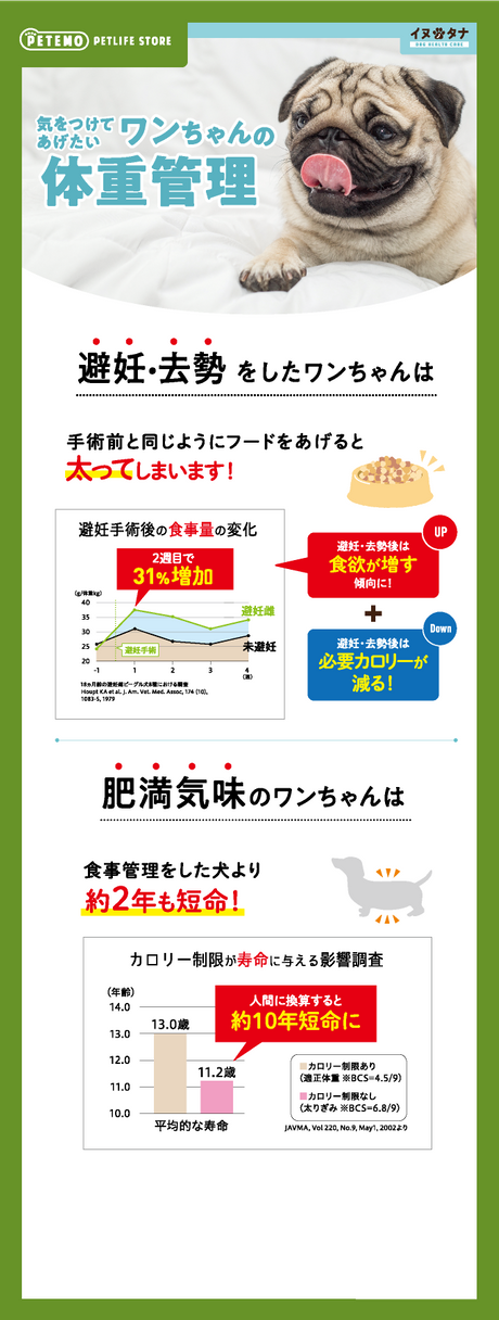 気をつけてあげたいワンちゃんの体重管理 避妊・去勢をしたワンちゃんは手術前と同じようにフードをあげると太ってしまいます！ 避妊手術後の食事量の変化 2週目で31%増加 避妊・去勢後は食欲が増す傾向に！＋避妊・去勢後は必要カロリーが減る！ 肥満気味のワンちゃんは食事管理をした犬より約2年も短命！ カロリー制限が寿命に与える影響調査 人間に換算すると約10年短命に