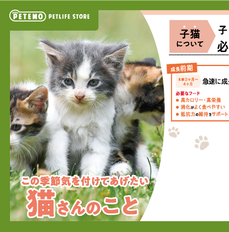 この季節気をつけてあげたい猫さんのこと 子猫について 子猫には2つの成長段階があり月齢によって必要な栄養バランスが異なります 成長前期 生後0ヶ月～4ヶ月は急速に成長 必要なフード 1.高カロリー・高栄養 2.消化がよく食べやすい 3.抵抗力の維持をサポートできる 成長後期 生後4ヶ月～12ヶ月はゆるやかに成長 必要なフード 1.成長後期に合わせたカロリー 2.成長後期に合わせたカロリー 3.成長後期に合わせた大きさの粒 成長段階に合ったフードに切り替えてあげましょう！