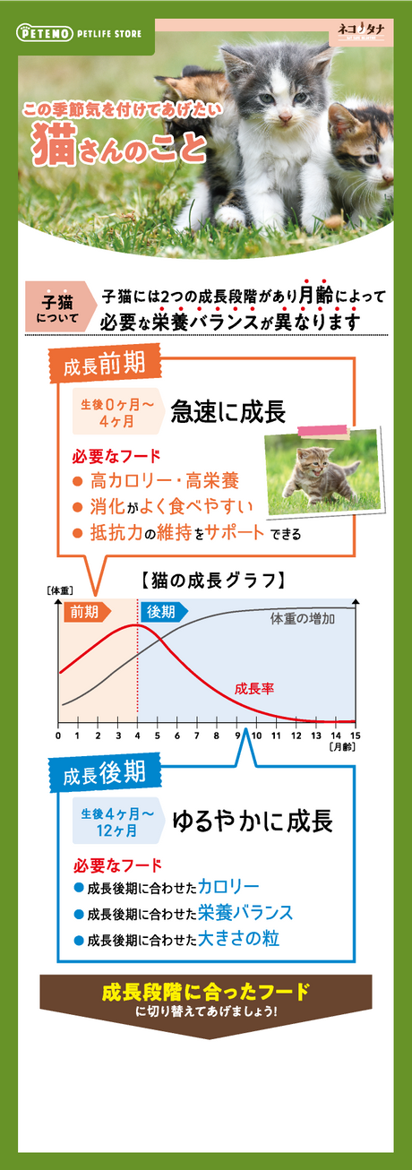 この季節気をつけてあげたい猫さんのこと 子猫について 子猫には2つの成長段階があり月齢によって必要な栄養バランスが異なります 成長前期 生後0ヶ月～4ヶ月は急速に成長 必要なフード 1.高カロリー・高栄養 2.消化がよく食べやすい 3.抵抗力の維持をサポートできる 成長後期 生後4ヶ月～12ヶ月はゆるやかに成長 必要なフード 1.成長後期に合わせたカロリー 2.成長後期に合わせたカロリー 3.成長後期に合わせた大きさの粒 成長段階に合ったフードに切り替えてあげましょう！