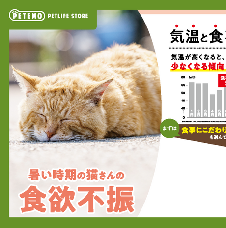 暑い時期の猫さんの食欲不振 気温と食事量について 気温が高くなると、猫は食事量が少なくなる傾向があります 7月・8月は食事量が減る まずは食事にこだわりのある猫専用フードを選んであげましょう！ それでも食べない時は 食欲不振の猫にはウェットフードが最適！ ウェットフードは… 1.嗜好性バツグン！ 2.水分補給に最適！(約80%が水分) 3.カロリー控えめ！ 総合栄養食のウェットフードを選んであげましょう！