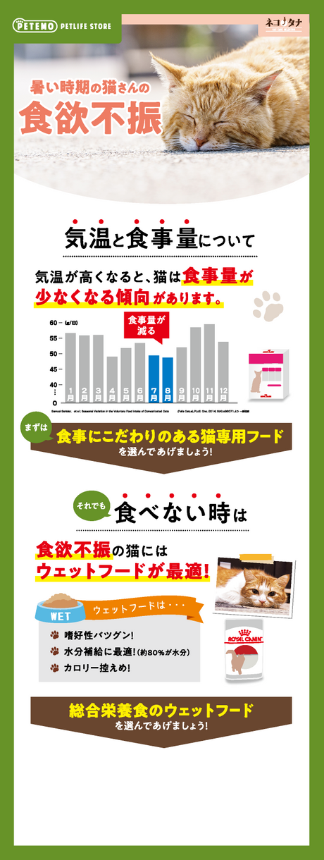 暑い時期の猫さんの食欲不振 気温と食事量について 気温が高くなると、猫は食事量が少なくなる傾向があります 7月・8月は食事量が減る まずは食事にこだわりのある猫専用フードを選んであげましょう！ それでも食べない時は 食欲不振の猫にはウェットフードが最適！ ウェットフードは… 1.嗜好性バツグン！ 2.水分補給に最適！(約80%が水分) 3.カロリー控えめ！ 総合栄養食のウェットフードを選んであげましょう！