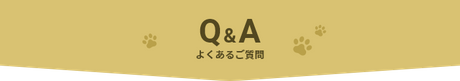 Q&A よくあるご質問