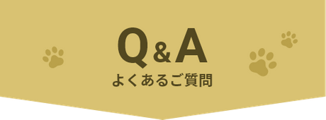 Q&A よくあるご質問