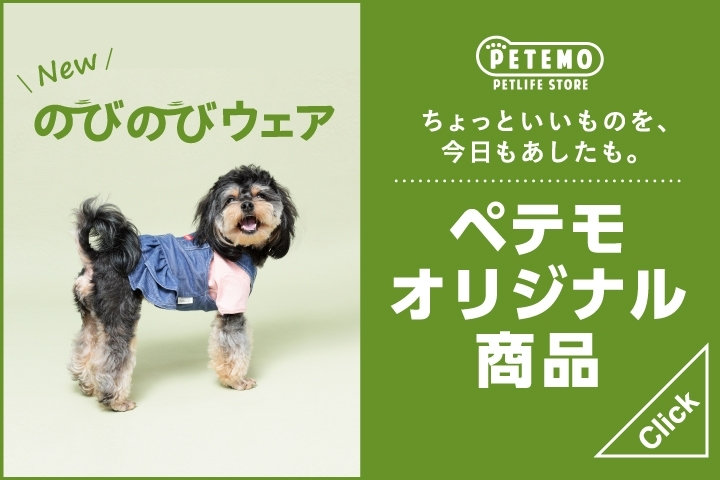 犬用・愛情ごはん 皮膚の健康サポート1kg×4袋 tollways ペットフード