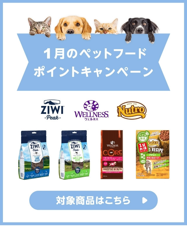 スキンケア ECプラス(サプリメント)犬用2袋 スキンケア ECプラス(サプリメント)犬用2袋