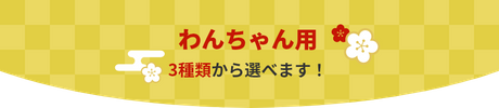 わんちゃん用 3種類から選べます！