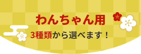 わんちゃん用 3種類から選べます！