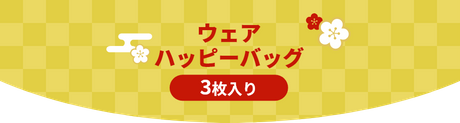 ウェアハッピーバッグ 3枚入り