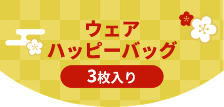 ウェアハッピーバッグ 3枚入り