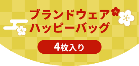 ブランドウェアハッピーバッグ 4枚入り