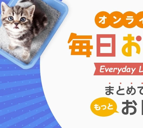 オンライン限定 毎日お買い得 Everyday LOW PRICE