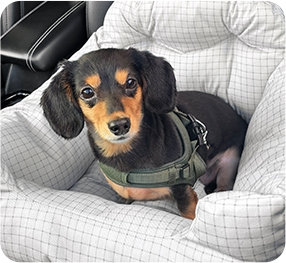 おでかけベッド