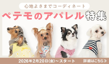 心地よさまでコーディネート！ペテモのアパレル特集