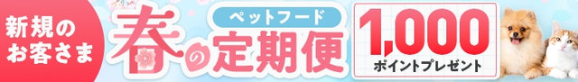 春の定期便（2～10日）