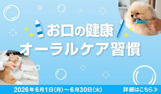 お口の健康 オーラルケア習慣