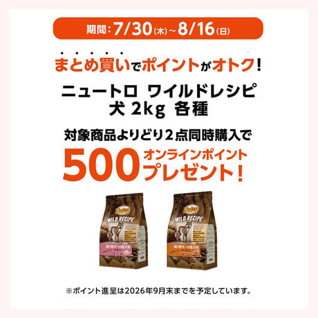 ニュートロ ワイルドレシピ 犬 まとめ買い