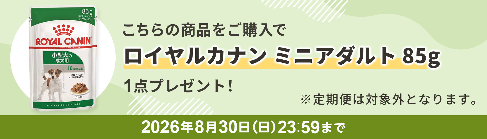 ロイヤルカナンウェットフードプレゼント